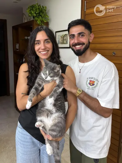 A successful international move for this feline friend. Silver said ‘Adiós’ to Spain and a warm ‘Namaste’ to India, arriving happy and healthy to his new home. I handle all types of pets, including cats, for global relocations.
