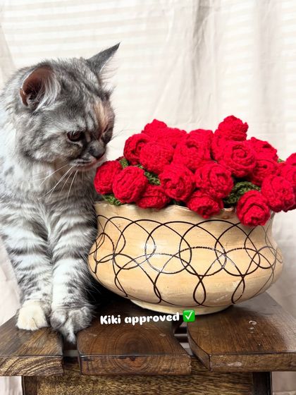 Kiki the cat giving her seal of approval to our 'Rose Vine' bouquet blanket. It's the perfect decorative piece that's also pet friendly.