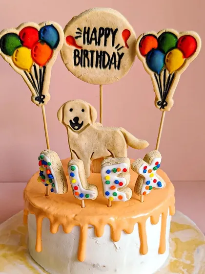 Alex's 10th birthday cake with a fun orange drip and colorful letter cookies spelling out his name. A bright and cheerful design for a senior pup.