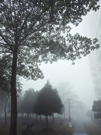 A foggy park scene with a tall apartment building partially obscured by the mist. This image captures the unique intersection of nature and urban life in Gurgaon.