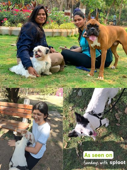 Friends of all shapes and sizes. Our community walks are a great, safe space for dogs to practice their social skills.