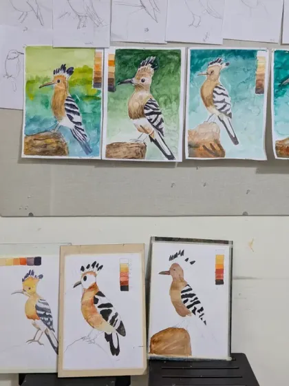 The beautiful outcomes from our bird study class. Here you can see several watercolor paintings of the Hoopoe bird, each showing the unique style of our 9-12 batch students.