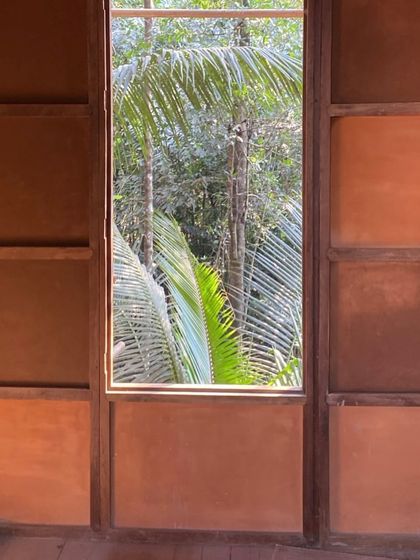 A view from inside the wattle-and-daub cottage, looking out through a large window into the dense palm grove outside.