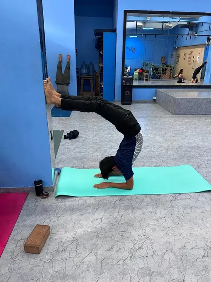 A student practicing a forearm stand variation against the wall. The wall is an excellent teacher, providing support and helping to overcome the fear of falling as you build strength.