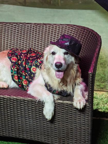 Fluffy Paws Pet Resort - Pet Cafe & Event Hosting Pawsome Birthday Parties photo 17