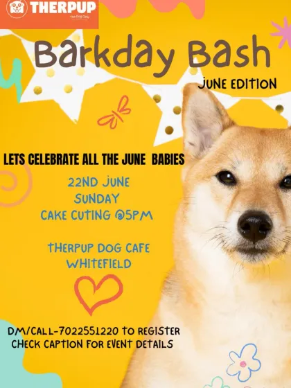 Therpup - Pet Event Hosting Private Paw-ties & Barkday Bashes photo 13