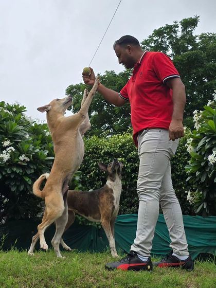 A great action shot of me playing with two energetic Indies. This is what it's all about.