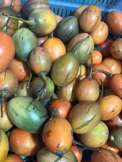 A crate of fresh Tamarillo, or tree tomato. This fruit has a tangy, slightly sweet flavor and is often used to make sour curries and chutneys.