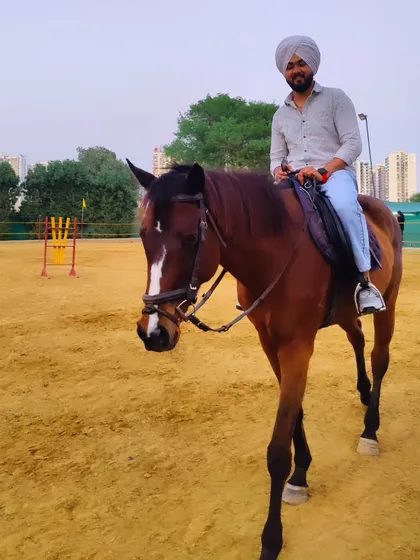 A rider takes a leisurely turn around the sand arena. We offer a relaxed environment for everyone to enjoy horse riding at their own pace.