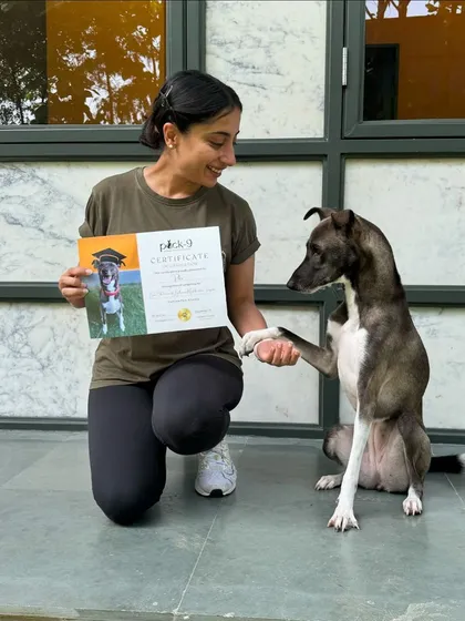 Piku gives a paw-shake to seal the deal on her graduation day. She learned to overcome her fears and trust her handler.