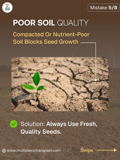 Multiplex Urban Green - Organic Gardening Supplies Gardening for Beginners: Tips & Tricks photo 5