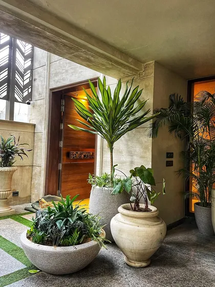 Breathe life into your entrance. This stunning entryway features a curated collection of plants in beautiful stone-finish pots, creating a grand and welcoming feel.