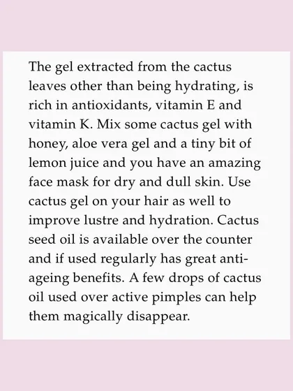 I shared with Lifestyle Asia that cactus gel is rich in antioxidants and can be used in face masks, while cactus seed oil has great anti-aging benefits.