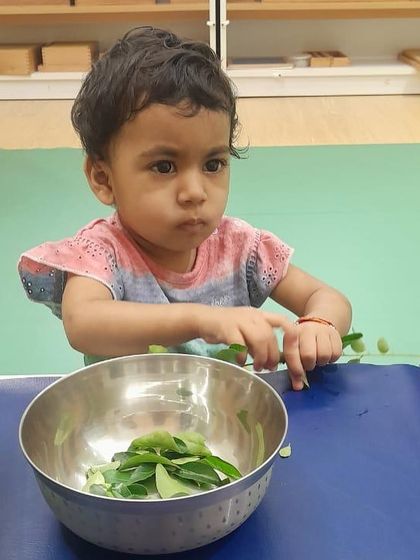 Evolve Montessori - Montessori Preschool Program Curious Hands, Happy Minds photo 14