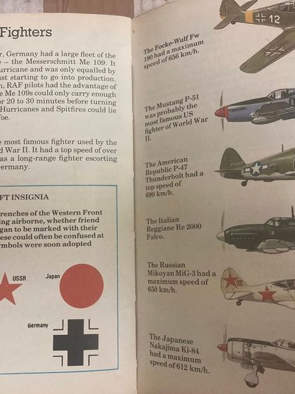 A Shelf for the Grown-Ups photo 10