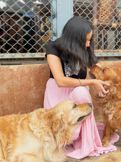 A guest gently pets both a Golden Retriever and a Cocker Spaniel, sharing the love.