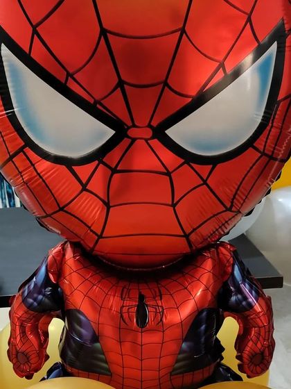 Sukh Decor - Party & Celebration Decoration Kids' Birthday Parties photo 8