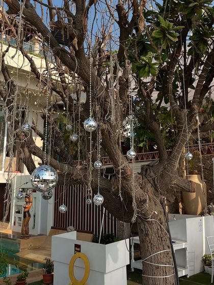 Milestone & Adult Celebrations photo 26