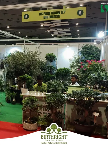 Our booth at the Van Mahotsav event was a hub of green activity. We showcased a wide variety of plants, from small bonsai to large trees, engaging with the community and encouraging everyone to plant more.
