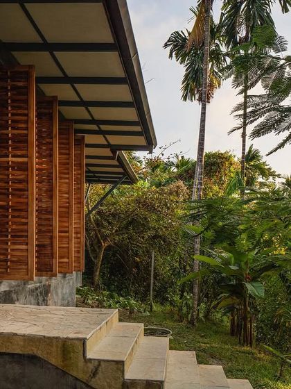 A view from the steps of the private villa, looking out into the dense foliage. The structure is elevated on stilts to minimize its impact on the land and enhance the feeling of being in a treehouse.