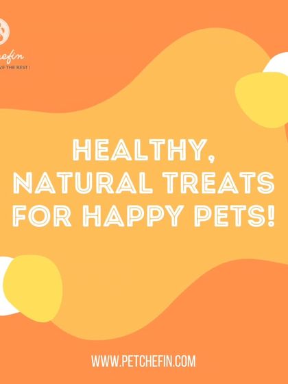 Healthy, natural treats lead to happy pets. We offer a wide variety of air-dried snacks including chicken, mutton, quail, pork, and fish, ensuring there's a favorite for every dog and cat.