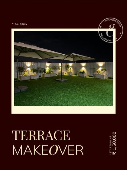 Office Terrace & Rooftop Gardens photo 3