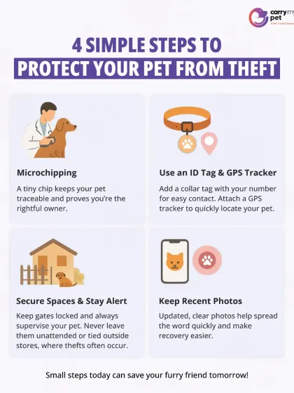 CarryMyPet - Pet Travel & Parenting Consultation Your Pet Travel Questions, Answered photo 7