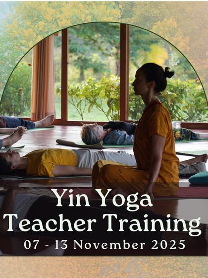 Join our Yin Yoga Teacher Training to immerse yourself in this powerful practice. This image shows a moment of deep rest during a Yin class, embodying the stillness and release that this style of yoga offers.