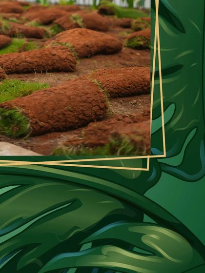 Crafting Green Foundations photo 15