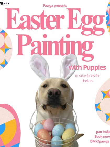 This Easter, get creative with our Easter Egg Painting workshops with puppies, happening pan-India.
