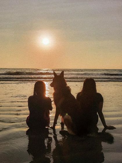 Sunsets on the beach with my best boy. These are the moments of pure connection that I want every dog owner to experience.