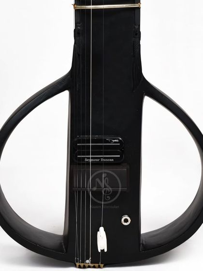 Electric Sitars (Zitars) photo 7