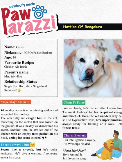 Introducing Pawparazzi! Our first hottie is Calvin, a total fitness freak whose favorite song is "Papa Meri Jaan".