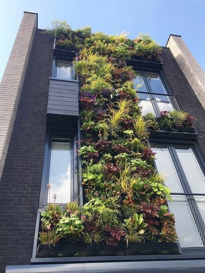 Vertical Garden Setup - Landscape Design & Execution Large-Scale & Commercial Facades photo 5