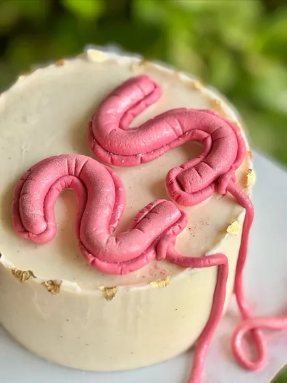 25 and serving main character energy. A close-up of the trendy pink balloon number detail on a minimalist cake, finished with a touch of gold leaf for that extra sparkle.