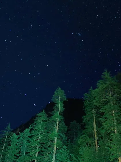 The night sky over the Himalayas, filled with countless stars. This is a simple, peaceful image of the universe above the trees, a sight that always fills me with awe.