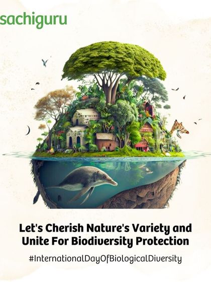 Embracing the spirit of "Vasudhaiva Kutumbakam" (the world is one family), we use practices like syntropic farming and food forests to maintain nature's balance and respect all life forms.