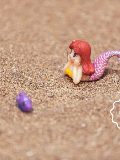 Fun, Games & Entertainment photo 64