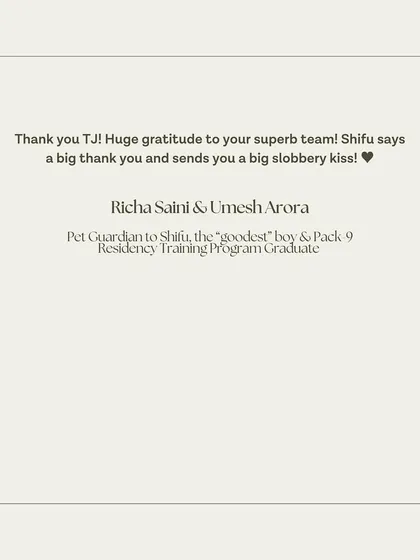 Shifu's guardians sending a big thank you to the whole team.