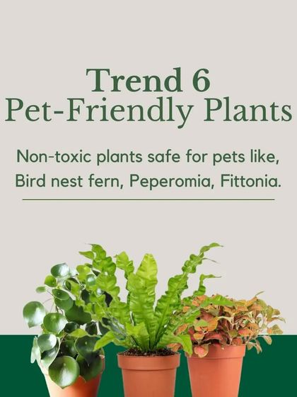 Plant Trends & Expert Tips photo 7