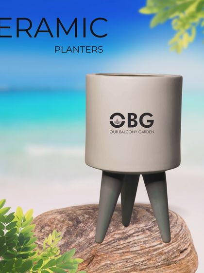 A sleek ceramic planter with tripod legs. This modern design elevates your plant and is a stylish addition to any room.