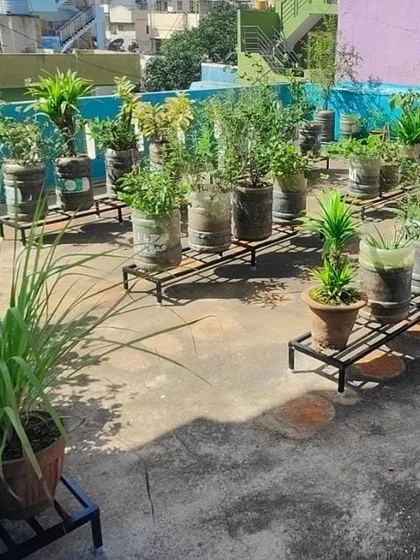 This is the result of proper organization. Our custom metal stands lift these repurposed water cans and other pots off the terrace floor, creating a neat, accessible, and easy-to-clean rooftop garden.