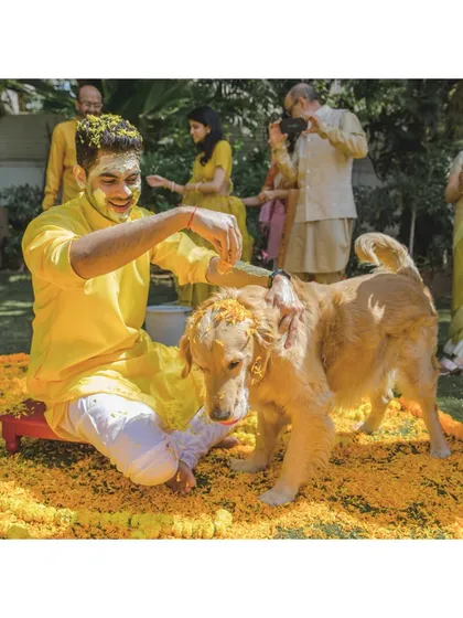 Even the dog gets in on the haldi fun! A groom playfully applies turmeric to his golden retriever, a heartwarming and adorable moment that shows pets are family too.