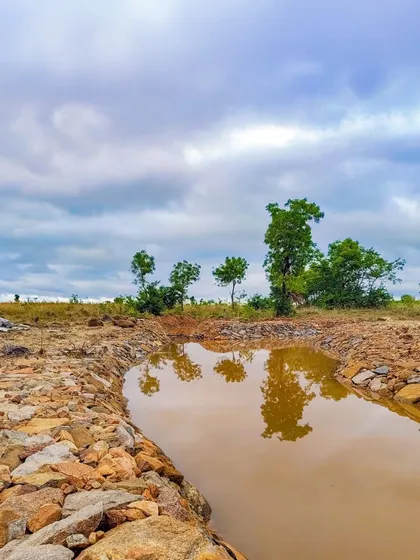 A rock pool, one of our key water harvesting features. These simple but effective structures slow down water flow, allowing it to percolate into the ground and nourish the surrounding ecosystem.
