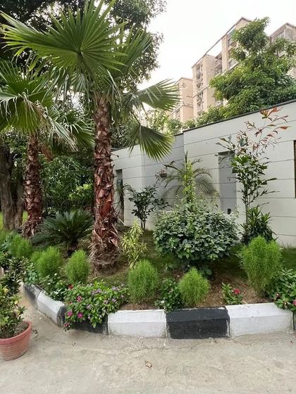 A wider view of a residential entrance project, showing how we layer different plant heights and types to create a full and mature-looking garden. This includes tall palms, mid-sized shrubs, and seasonal flowers.