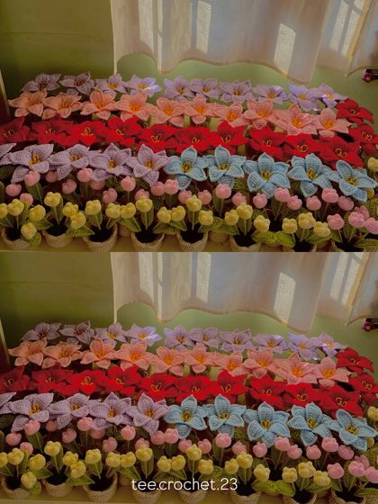 Cheerful Potted Plants photo 10