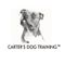 Carter's Dog Training