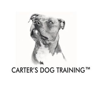 Carter's Dog Training
