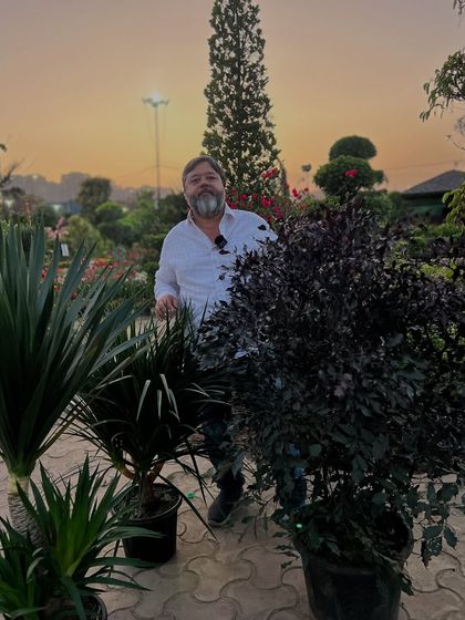 Indoor & Air-Purifying Plants (Ghar Ke Andar Ke Paudhe) photo 48