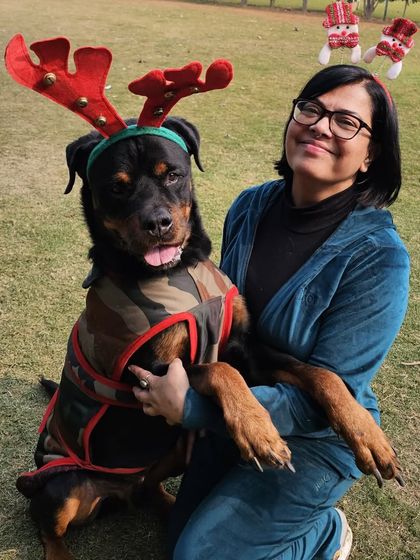 A beautiful Rottweiler looking festive and happy with one of our team members. We make sure every pet, big or small, feels included in our holiday celebrations.